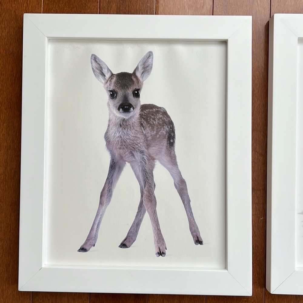 3 baby animal nursery frame white 8 x 10